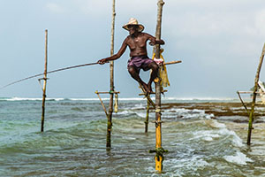 Stilt Fishing in Weligama